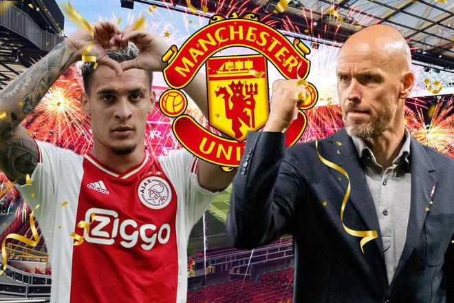 不仅彰显了 不仅彰显了